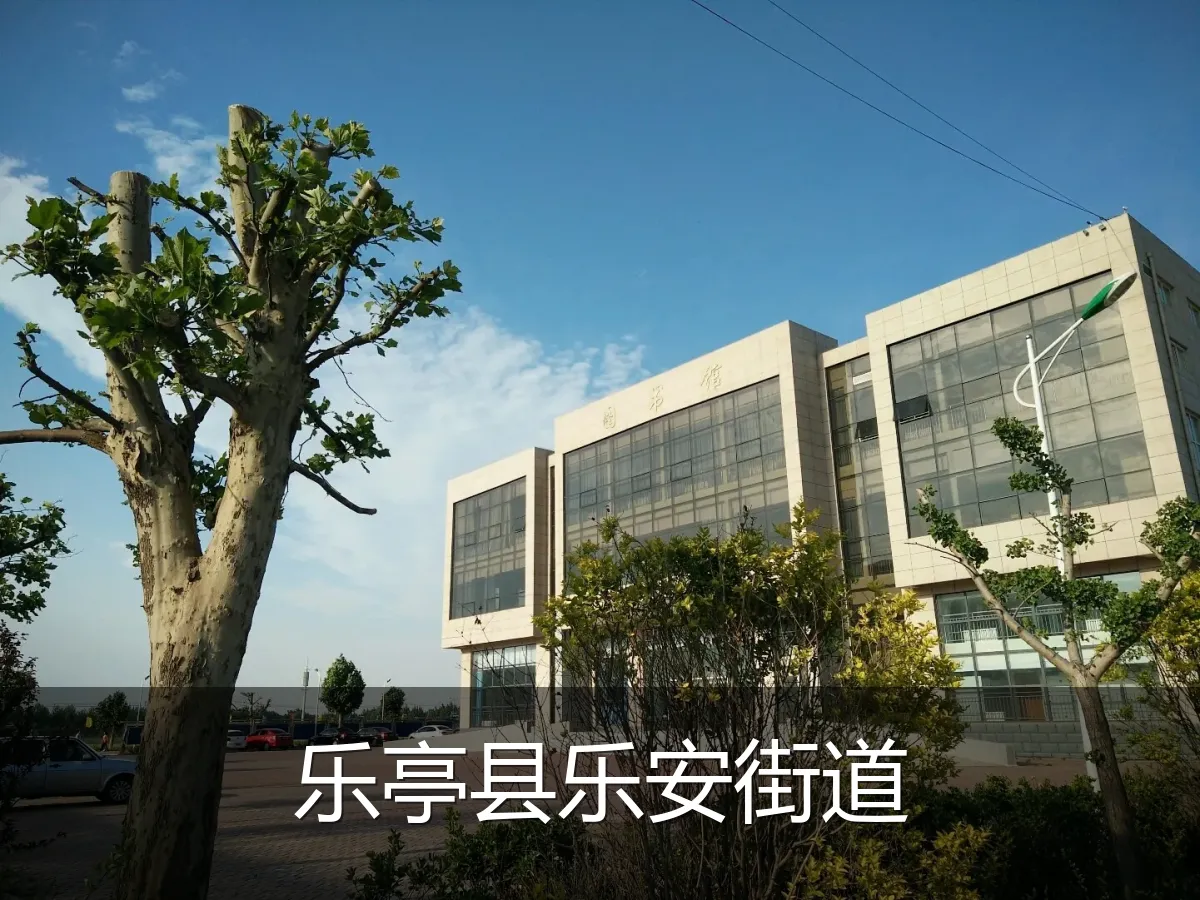 乐亭县乐安街道